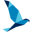 SATA International